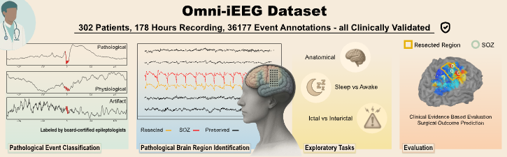Omni-iEEG teaser